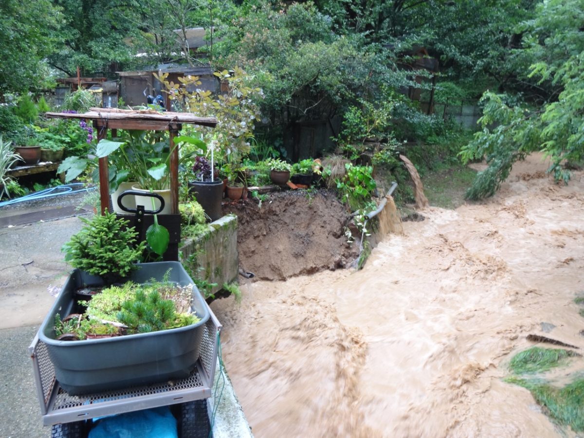 【Urgent Plea for Donations】Torrential Rain Damage