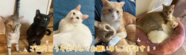 【2023.6.29更新】フード・消耗品のご支援のお願い！