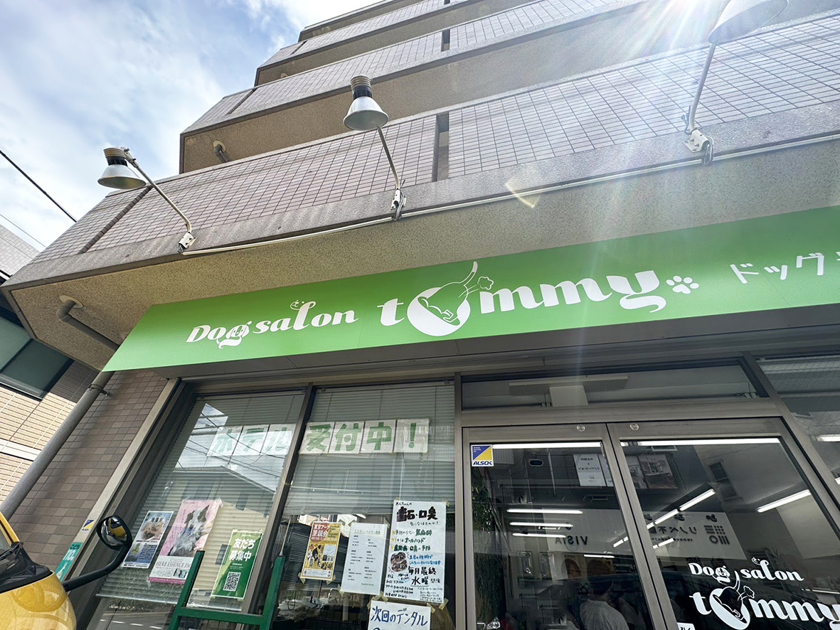 【May 11】Adoption fair at DogSalon Tommy