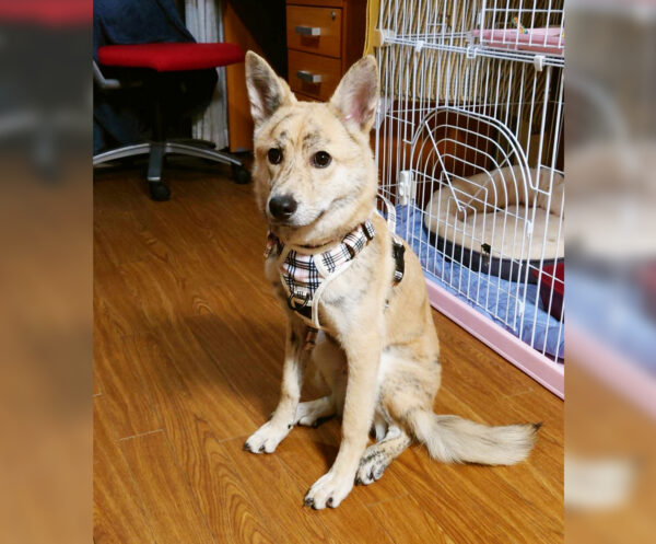 ティモシー