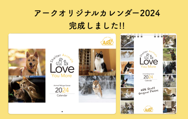 アークオリジナルカレンダー2024完成しました!!