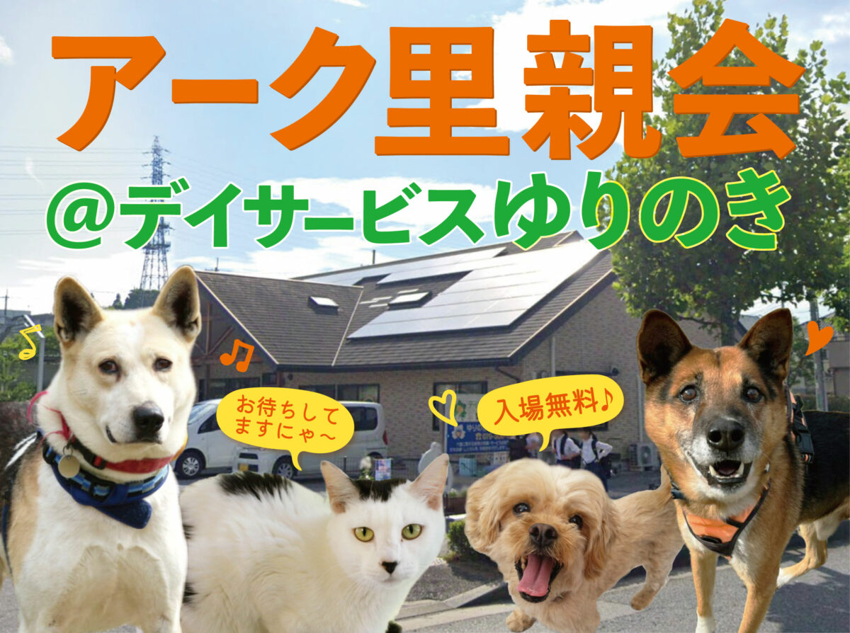 【February 9, 2025】ARK adoption fair in Sanda @ Yurinoki Day Service
