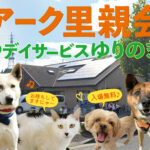 【February 9, 2025】ARK adoption fair in Sanda @ Yurinoki Day Service