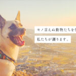 12/7（日）市民シンポジウム開催決定！　「動物虐待動画にNOを！」～現状と課題、解決への道筋を探る～ at ステージフェリシモ（神戸）