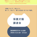 【April 13, 2025】ARK at the Panasonic Adoption Fair!
