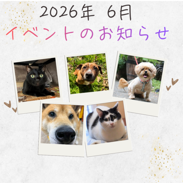 【2026年6月】イベントのおしらせ