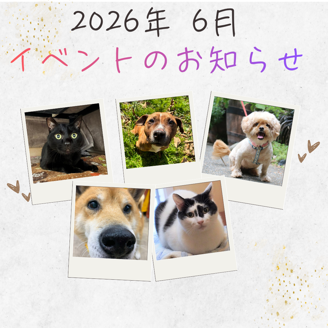【2026年6月】イベントのおしらせ