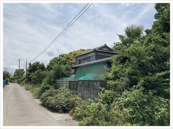 動物愛護管理法違反