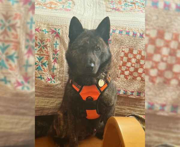 キーツ