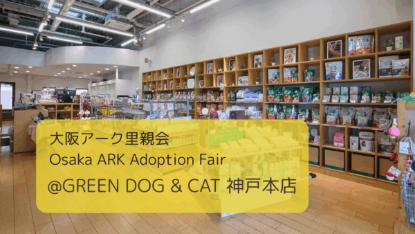 【2025.5.18】大阪アーク里親会 at GREEN DOG & CAT 神戸本店