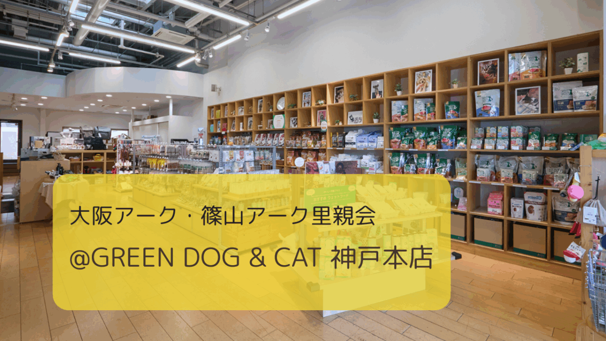 【2025.5.18】大阪アーク・篠山アーク里親会 at GREEN DOG & CAT 神戸本店