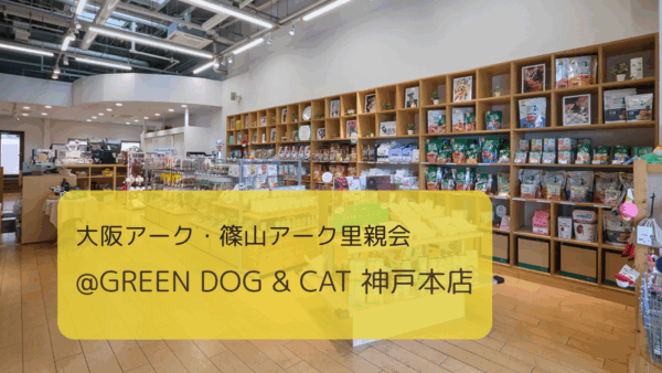 【2025.5.18】大阪アーク・篠山アーク里親会 at GREEN DOG & CAT 神戸本店