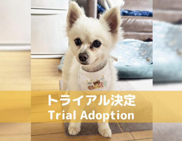 おこめ