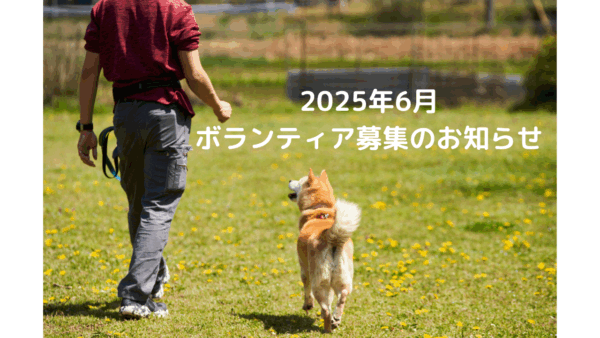 Volunteer applications for June 2025