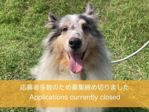 ミラ