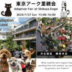 【2025.7.27】東京アーク里親会 at 渋谷園芸