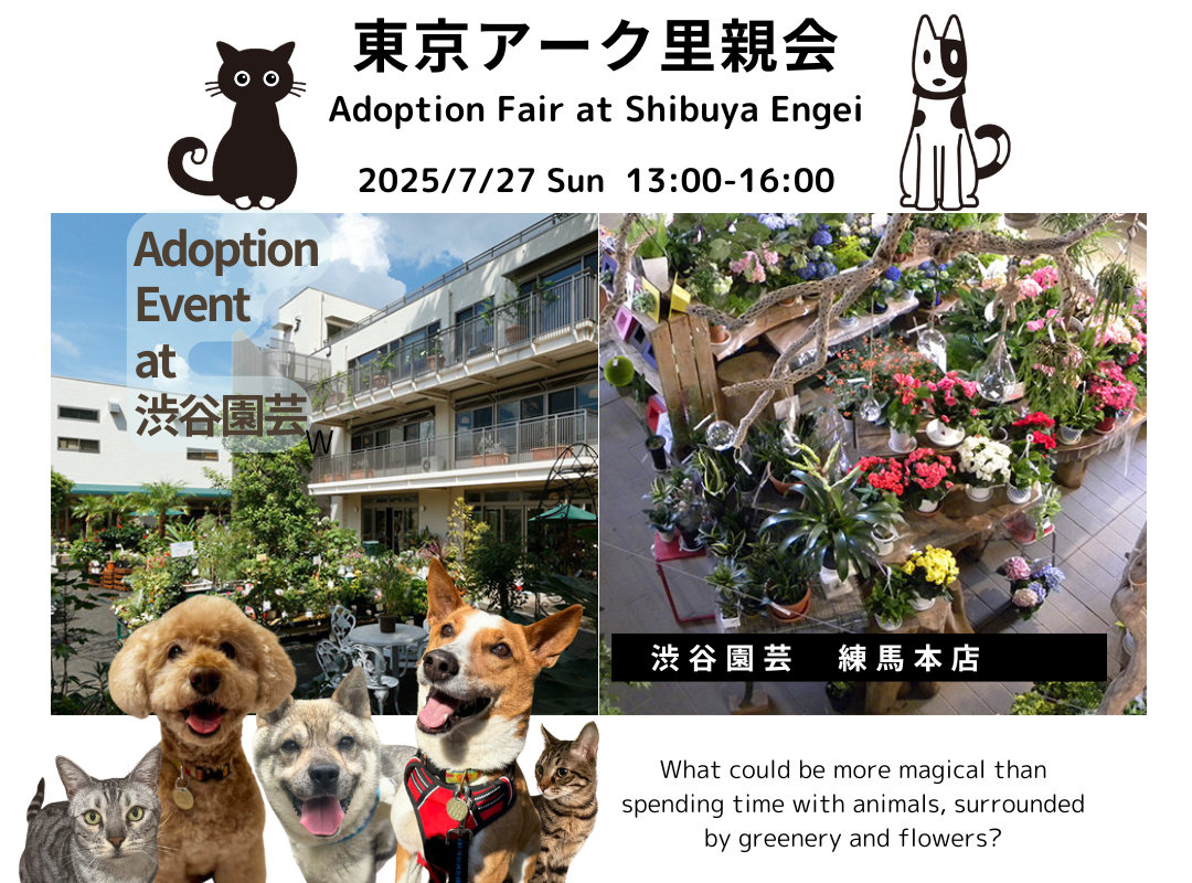 【2025.7.27】東京アーク里親会 at 渋谷園芸