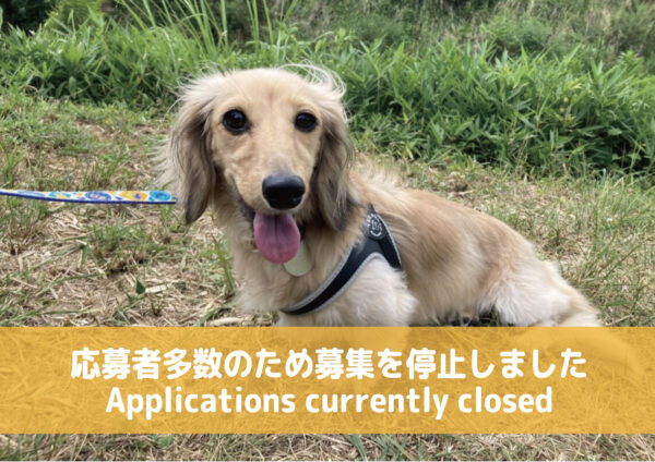 ヴェラ