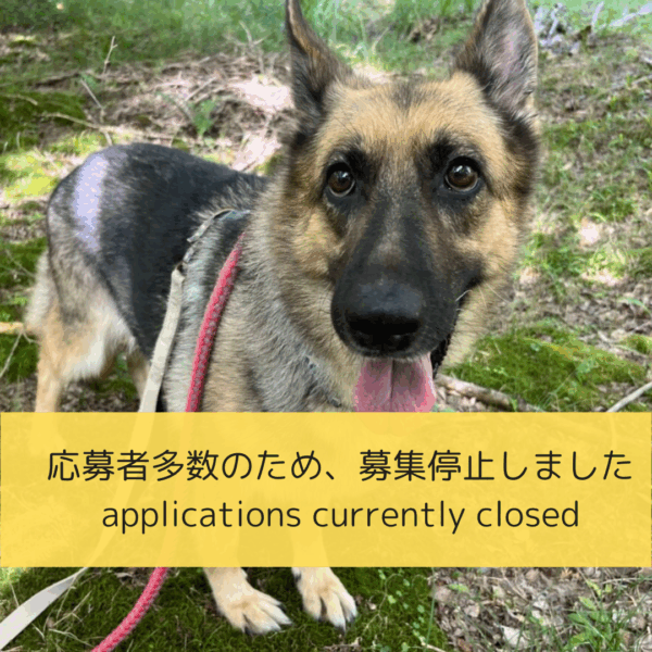 ベガ