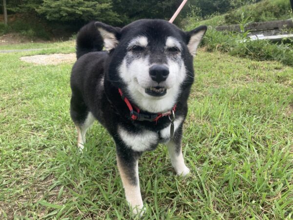 おむすび