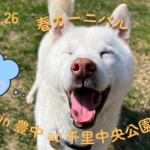 【2026.4.26】大阪アーク里親会 in 豊中@千里中央公園