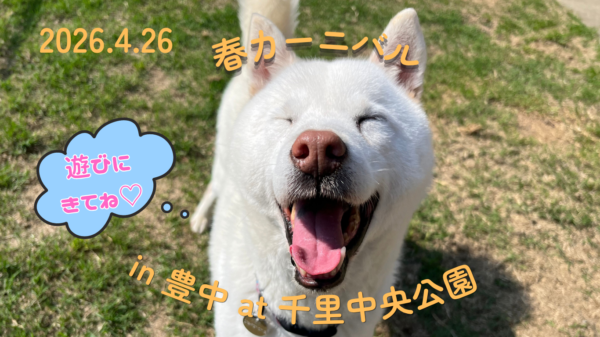 【2026.4.26】大阪アーク里親会 in 豊中@千里中央公園