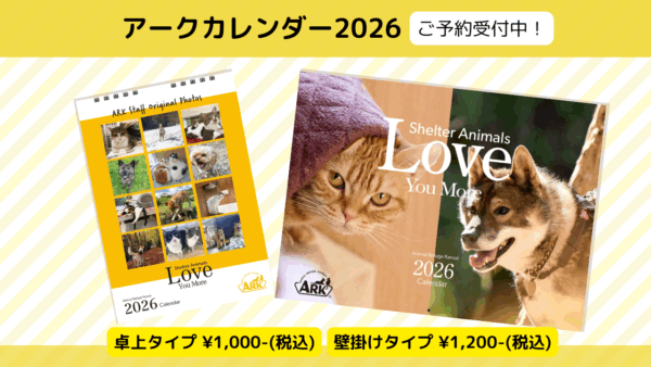 アークオリジナルカレンダー2026予約受付中!!