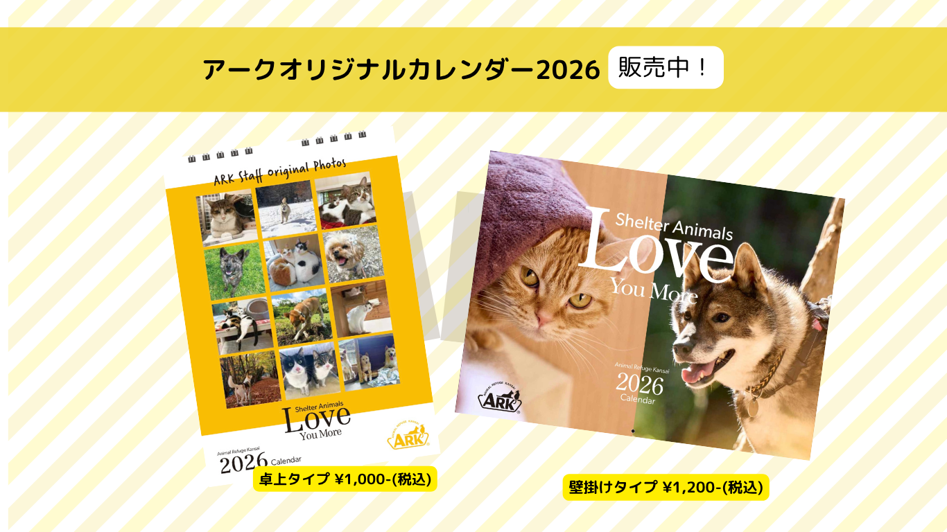 アークオリジナルカレンダー2026販売中!! - Animal Refuge Kansai