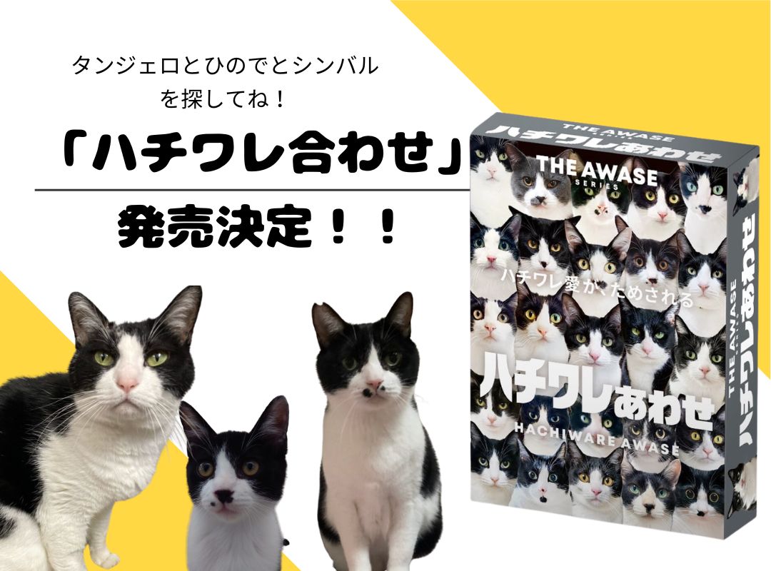 「ハチワレあわせ」4月発売決定！