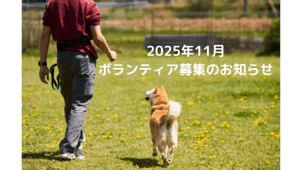 2025年11月ボランティアご協力のお願い