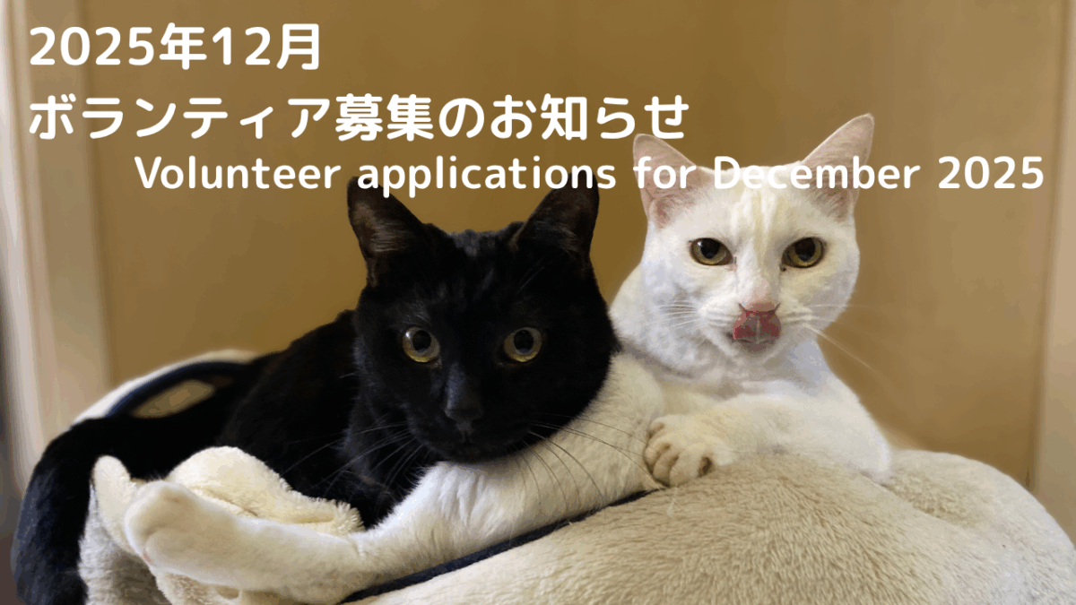 2025年12月ボランティアご協力のお願い
