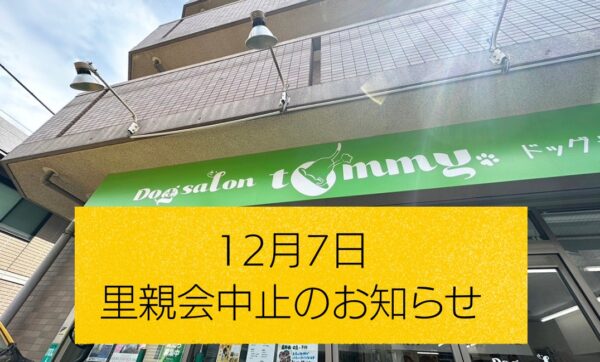 【里親会中止のお知らせ】東京アーク里親会 at 石神井 Dogsalon tommy　