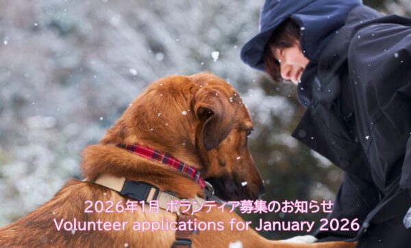 2026年1月ボランティア募集のお知らせ