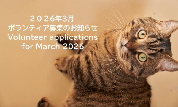 2026年3月ボランティア募集のお知らせ