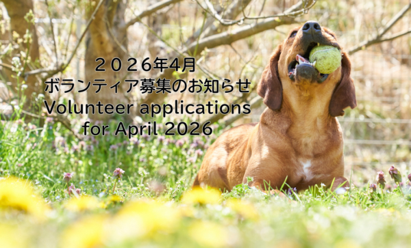 2026年4月ボランティア募集のお知らせ