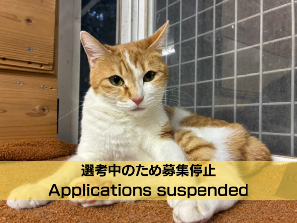 みのり