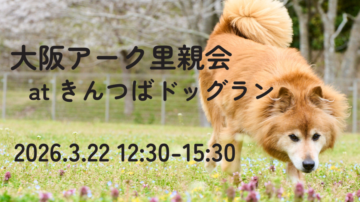【2026.3.22】アーク里親会 at きんつばドッグラン