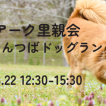【March 22, 2026】ARK Adoption Fair at Kintsuba Dog Run