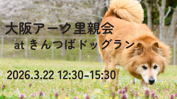【2026.3.22】アーク里親会 at きんつばドッグラン