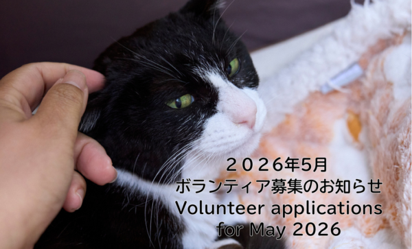 Volunteer applications for May 2026