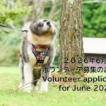2026年6月ボランティア募集のお知らせ