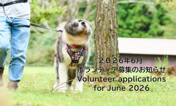 Volunteer applications for May 2026