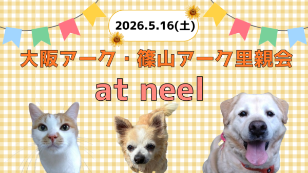 【2026.5.16】大阪アーク里親会 at neel