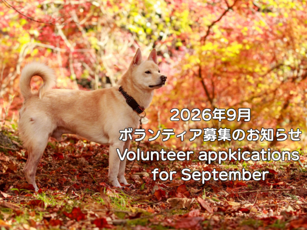 2026年9月ボランティア募集のお知らせ