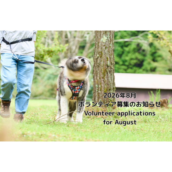 2026年8月ボランティア募集のお知らせ