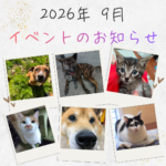 【2026年9月】イベントのおしらせ