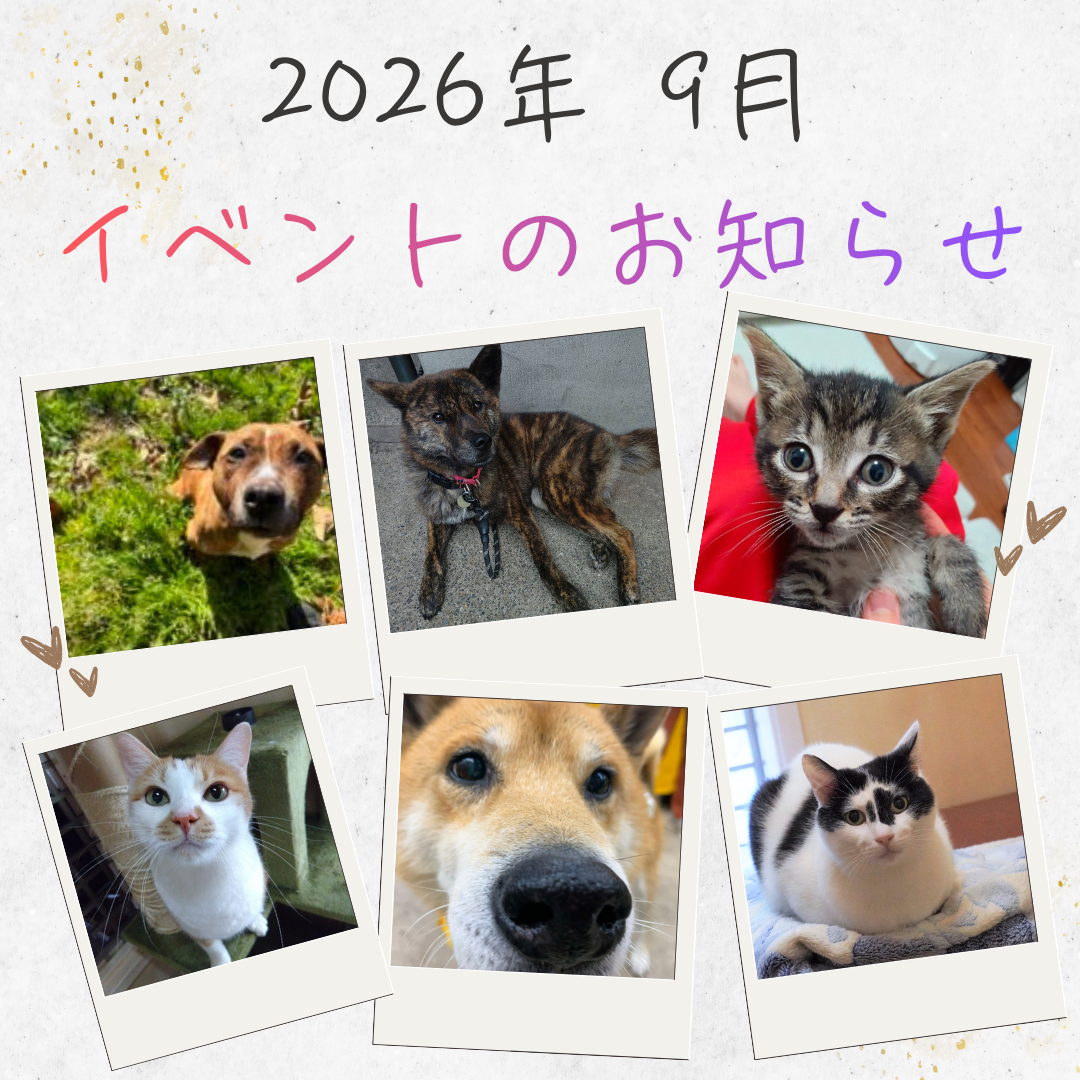【2026年9月】イベントのおしらせ