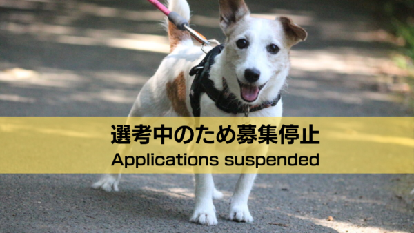 ディル