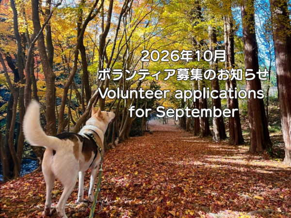 2026年10月ボランティア募集のお知らせ