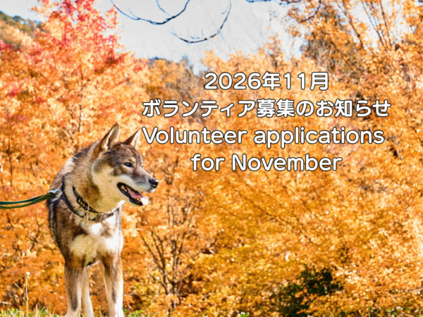 Volunteer applications for October 2026